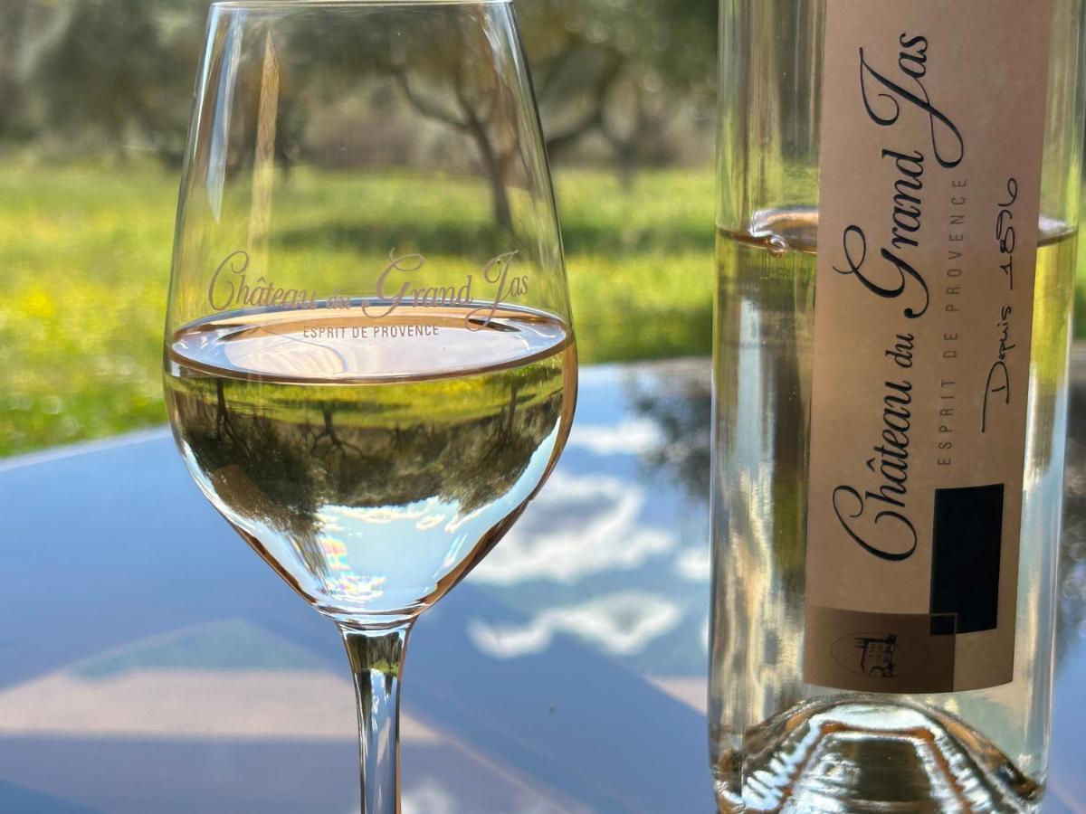 Chateau Du Grand Jas Entrecasteaux Zewnętrze zdjęcie
